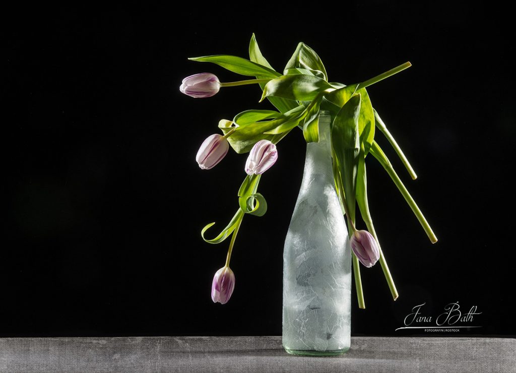 Dark Moody Fotografie
