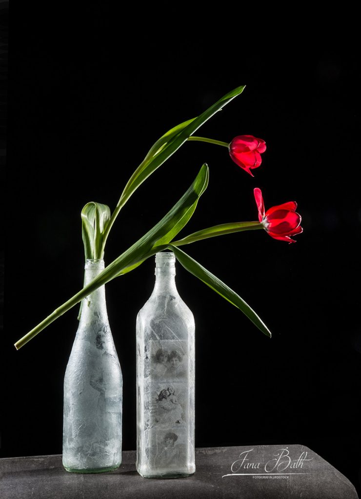 Dark Moody Fotografie