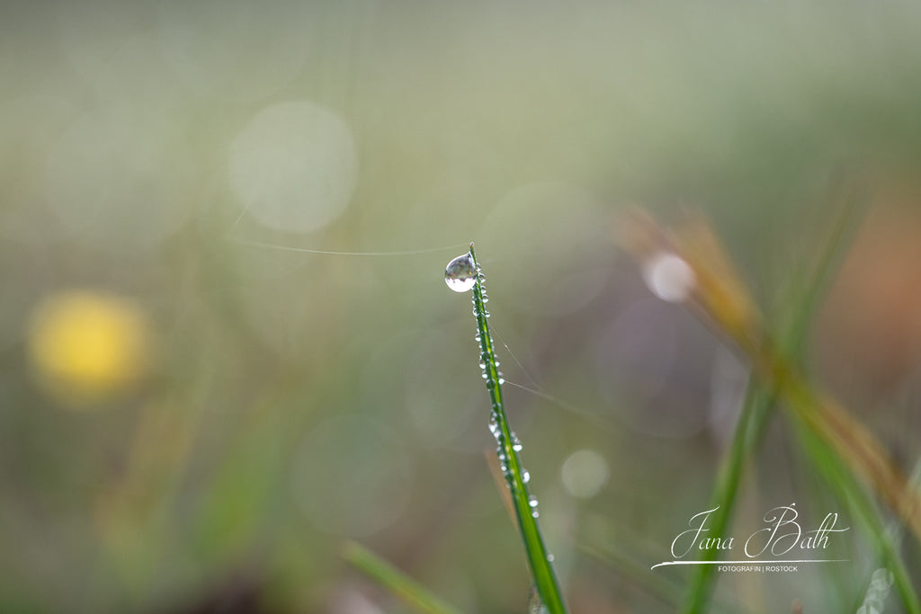Haikufotografie