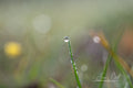 Haikufotografie