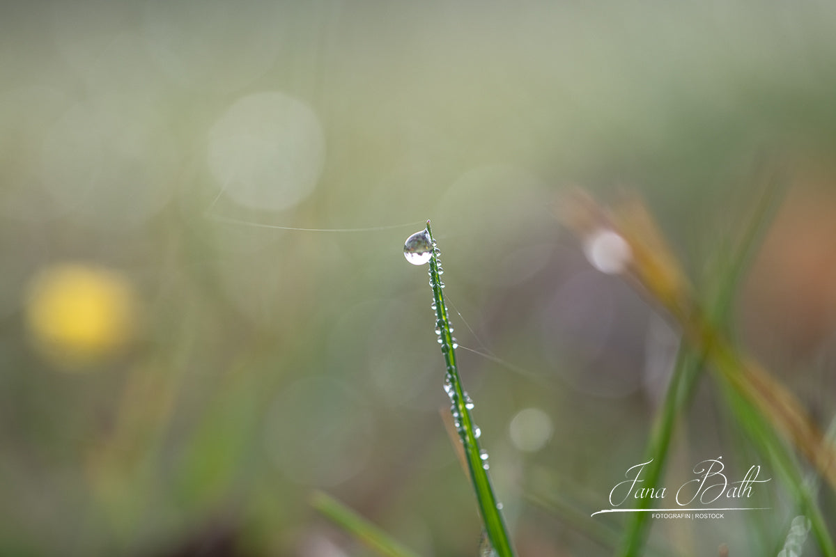 Haikufotografie
