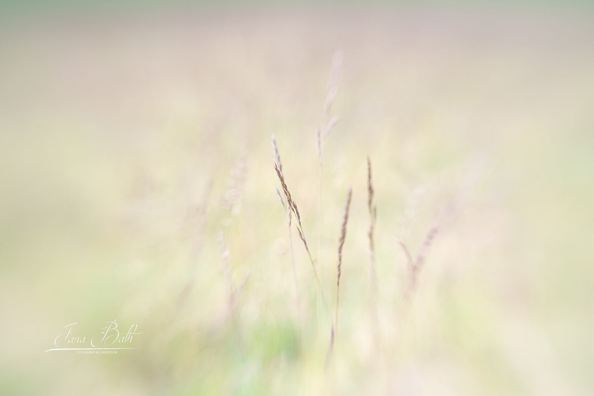 Haikufotografie