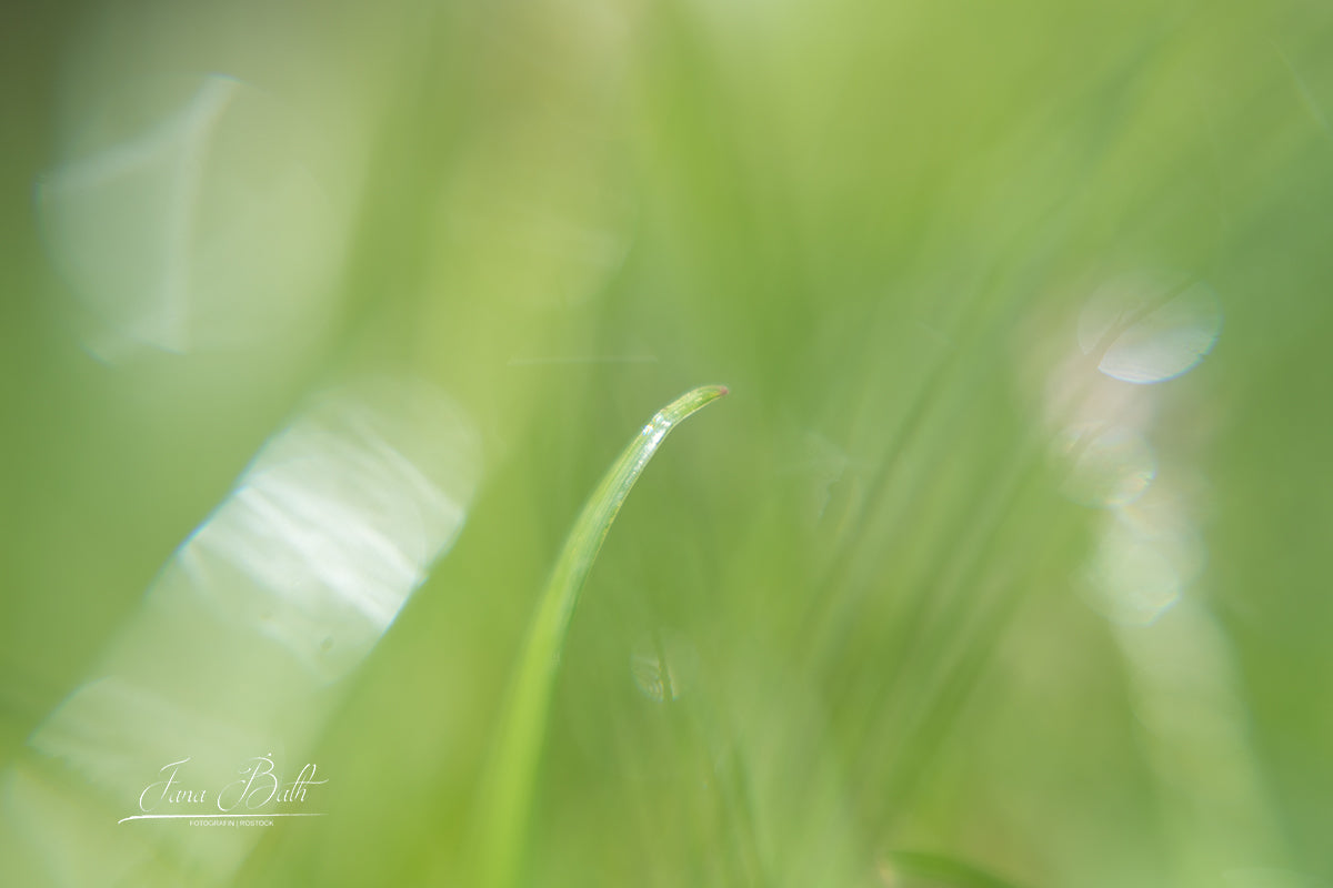 Haikufotografie