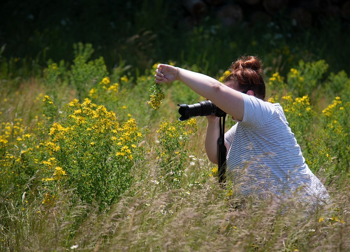 Makrofotografie